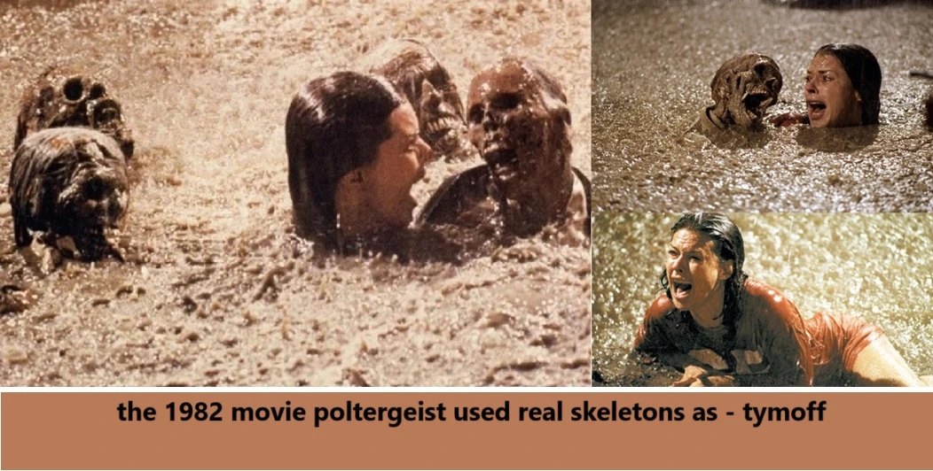 The 1982 movie poltergeist used real skeletons as - tymoff