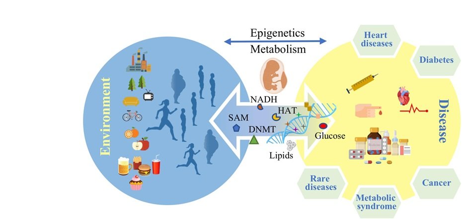 Exploring the Role of Epigenetics in Diabetes Risk and Prevention